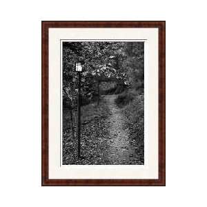  Autumn Path I Bw Framed Giclee Print