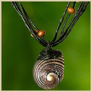 EXQUISITE ORGANIC HANDMADE NECKLACE NETURAL ECO JEWELRY SEA SHELL 