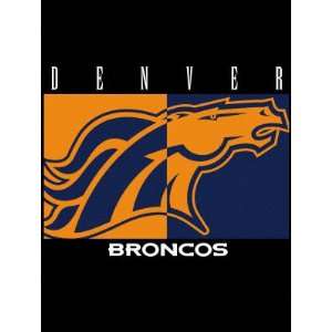 Denver Broncos 60x80 All Pro Team Blanket  Sports 
