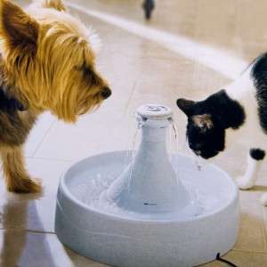 Drinkwell 360 Degree Free Fall Dog Cat Water Fountain  