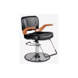  Salon Styling Chair (Black) Beauty