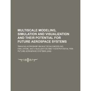   aerospace systems (9781234368814) Training Workshop on Multiscale