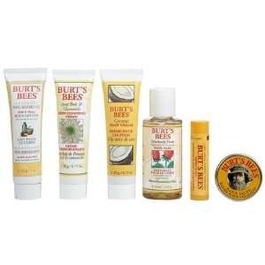  Burts Bees Head to Toe Kit, 2 ct (Quantity of 2) Health 