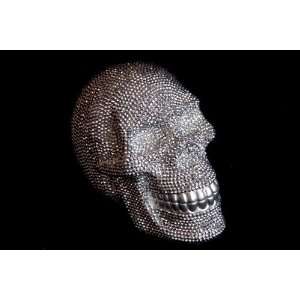  Diamante Skull