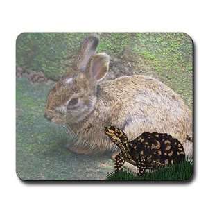  The Turtle the Hare Cool Mousepad by  Office 