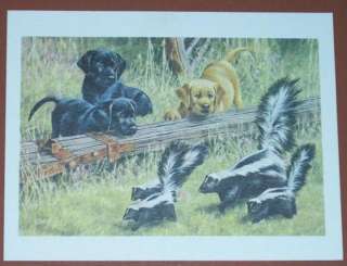 Black & Yellow Lab Puppies Skunks Art 6 x 4 200 PRINTS  