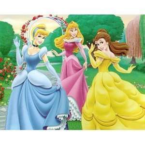   Princesses   FLEECE BLANKET   Soft Girls Room Decor Toys & Games