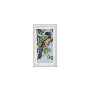  1963 Brooke Bond Tropical Birds 6th Series (Trading Card 