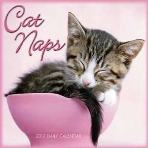  Cat Naps 2012 Daily Box Calendar