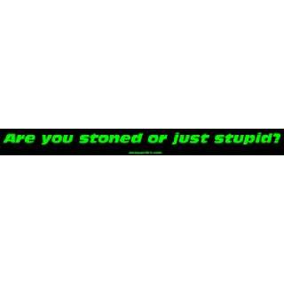  Are you stoned or just stupid? MINIATURE Sticker 