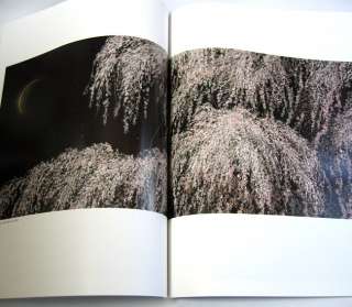 Hiroshi Senju Works ART IN NEW YORK Japan Fusuma Art  