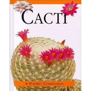    Cacti A Pocket Companion (9780785809784) Rebecca Kingsley Books