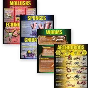  Invertebrates Poster Set