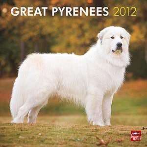  2012 Great Pyrenees Calendar