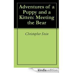   the Bear Nicholas Stein, Christopher Stein  Kindle Store