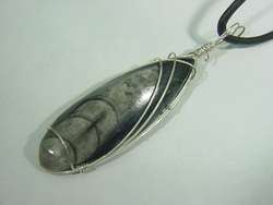 BUTW Sterling Silver wire wrapped Orthoceras nautiloid pendant 