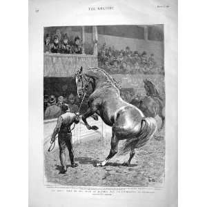  1896 Princess Wales Hunters Horse Show Islington