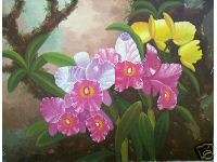 Yellow & Pink Orchid 18x24 Art Philippines Oil Painting  