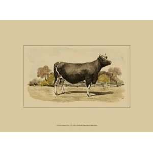   Antique Cow VI   Poster by Julian Bien (13x9.5)