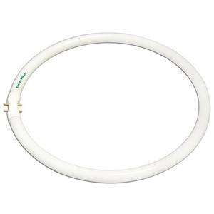     40W/835 (FC12T5/835) Circular T5 Fluorescent Tube Bulb  