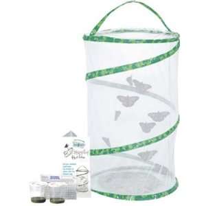  Insect Lore   Butterfly Pavilion (Science) Toys & Games