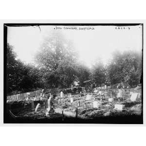  Dog cemetery   Hartsdale