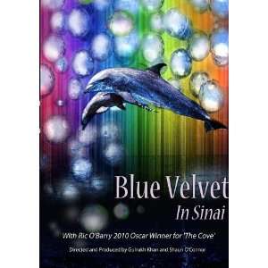    Blue Velvet in Sinai Ep. 3   Conflicting Interests Movies & TV