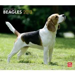 For the Love of Beagles 2013 Deluxe Wall Calendar 14 X 12 