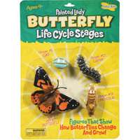 BUTTERFLY LIFE CYCLE MODELS INSECT LORE~  735569047608 