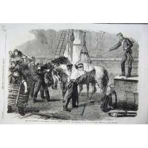 1862 Canada Shipping Horse Calcutta Ship Woolwich Crane  