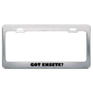 Got Ensete? Eat Drink Food Metal License Plate Frame Holder Border Tag