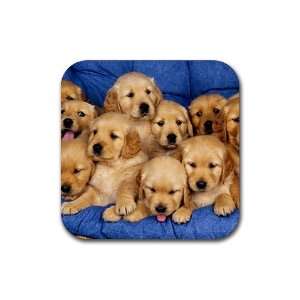  Golden labs litter puppies Rubber Square Coaster set (4 