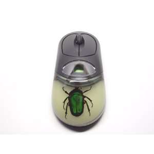  Cordless Computer Mouse Unicorn Green Rose Chafer Glow 