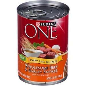  Purina ONE Wholesome Beef & Barley Entree Tender Cuts in 