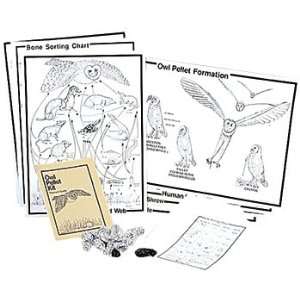    Deluxe Perfect Pellet Classroom Owl Pellet Kit Toys & Games