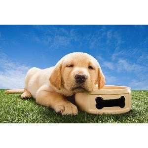  Labrador Puppy with Dog Bowl   Peel and Stick Wall Decal 