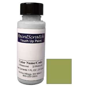   Up Paint for 2009 Saab 9 5 (color code 307) and Clearcoat Automotive