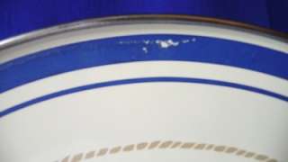 American Picnic Formation DINNER PLATES BLUE Bands  