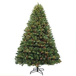   Franklin Pine With Multi color Lights  Seasonal Christmas Trees