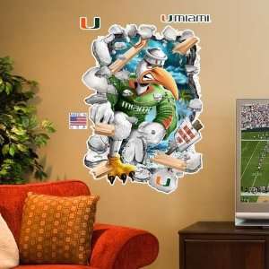  NCAA Miami Hurricanes 3 Team Mascot Wall Crasher