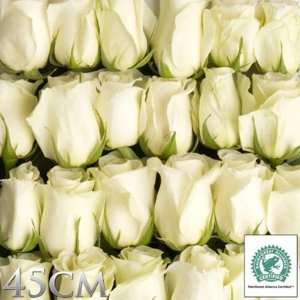  Rain Forest Alliance White Roses, 125 Stems