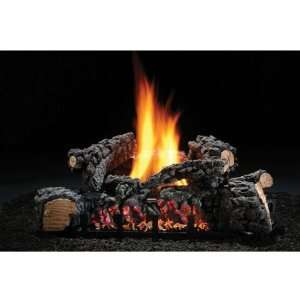   Vent Free Liquid Propane Logs with Variable Flame 48