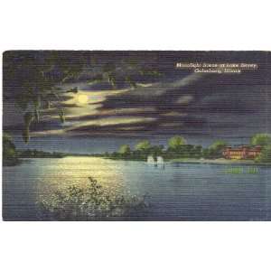   Vintage Postcard   Moonlight Scene at Lake Storey   Galesburg Illinois