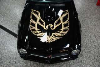 Pontiac  Firebird in Pontiac   Motors