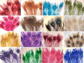 10 Peacock Feathers w/ eyes dyed 30 35 L 16 colors av.  