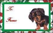 12 Smooth Dachshund Puppy Dog Christmas Gift Tags  