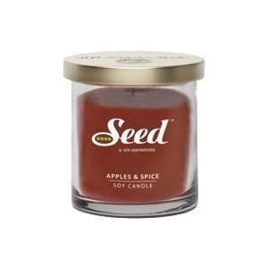  Seed, Apple & Spice Soy Candle, 4.5 Oz  Health 