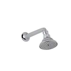   Perletto Style Swiveling Showerhead with Shower Arm