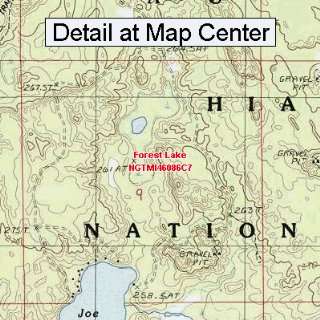  USGS Topographic Quadrangle Map   Forest Lake, Michigan 