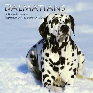  Dalmatians 2012 Wall Calendar 12 X 12